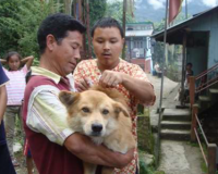 Dr. Thinlay Bhutia (na frente a esquerda) contendo um cão durante a campanha  de vacinação