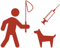 Vaccination_campaign_icon_red_country_page