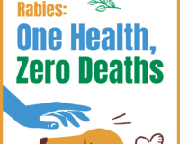 World Rabies Day 2022 theme: "Rabies: One Health, Zero Deaths"