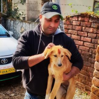 Dharamsala Animal Rescue 2