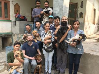 Dharamsala Animal Rescue 1