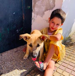 Sanctuaire de la Faune de Tanger (SFT), GARC World Rabies Day awards nominee activities 2020, including dog vaccination.