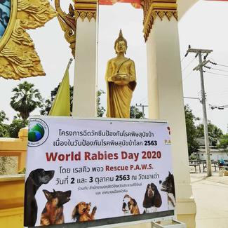 Miss Henna Pekko: World Rabies Day