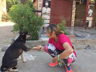 Ms. Nada Hafez: Dog shake