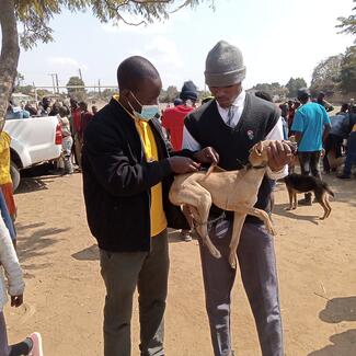 Dr Humphrey Banda - GARC World Rabies Day awards nominee