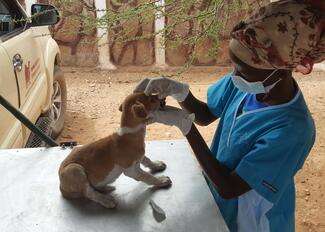 Jessicah Kurere - GARC World Rabies Day awards nominee