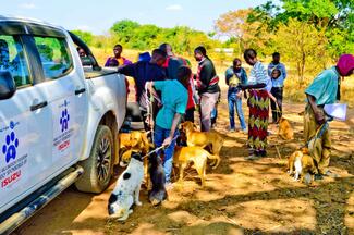 Kenneth Chawinga - GARC World Rabies Day awards nominee