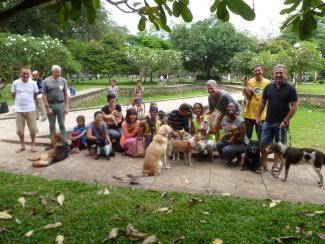 Angkor Dog Social