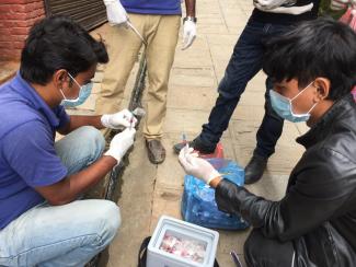Anti Rabies vaccination at Hattiban