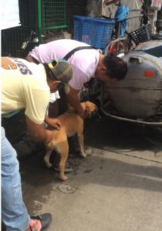 World Rabies Celebration Barangay Magsaysay Norte, Cabanatuan City, Nueva Ecija.. MOTORCADE, MASS VACCINATION & INFO DRIVE