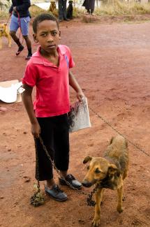What it's all about: educational booklet in one hand and the lead of his freshly vaccinated dog in the other hand.