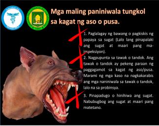 World Rabies Celebration Barangay Magsaysay Norte, Cabanatuan City, Nueva Ecija.. MOTORCADE, MASS VACCINATION & INFO DRIVE