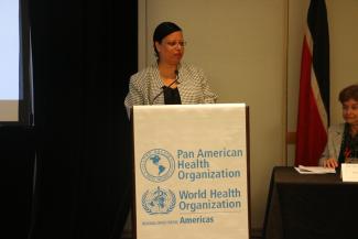 Dr Bernadette Theodore-Gandi (PAHO) gives comments on behalf of PAHO/WHO