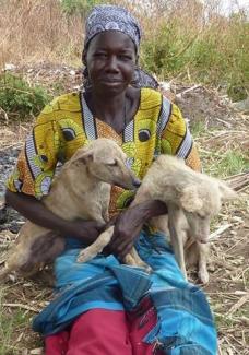 Woman and her dogs at a BIG FIX Uganda vaccination clinic