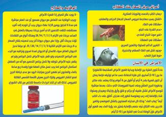 Brochur for Rabies awarness 2nd page