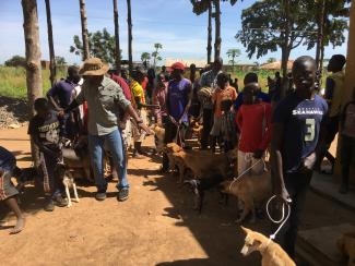 Photos from World Rabies Day event in Amuru/Pabbo, 2018