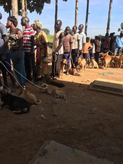Photos from World Rabies Day event in Amuru/Pabbo, 2018