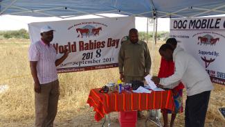 Vets signing rabies vaccine certificates
