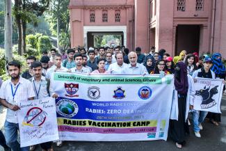 A walk on World Rabies Day at UVAS
