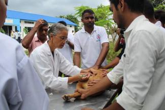Sr. faculty Prof. Jyoti B Dutta injecting ARV to a stray dog