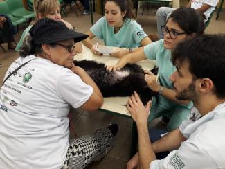 3ª CãoMinhada Uvis São Miguel Paulista