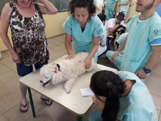 3ª CãoMinhada Uvis São Miguel Paulista