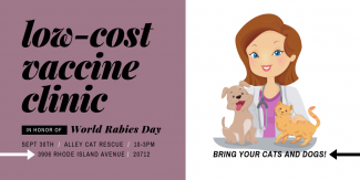 Alley Cat Rescue's Low-cost Vaccine Clinic for Cats and Dogs