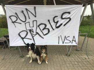 Run 4 Rabies, Tartu 2017