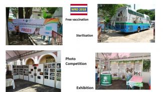 Parade, free vaccination, exhibitions etc