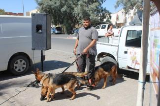 vaccination des chiens au gouvernorat de tozeur, sud de la Tunisie