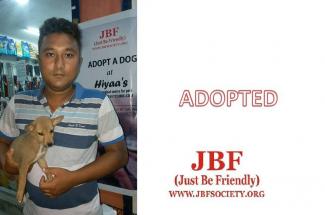 After Adoption