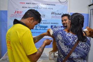 Free health check-up to canines and felines by JBF in collaboration with Hiyaas Vet Clinic.