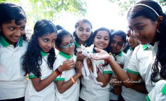 Caring by Our Animal Welfare Club members