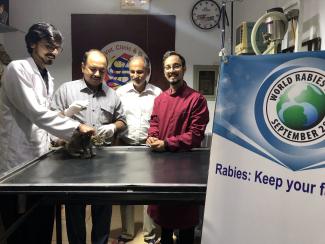 First Rabies vaccination at Saleem Veterinary Clinic 
