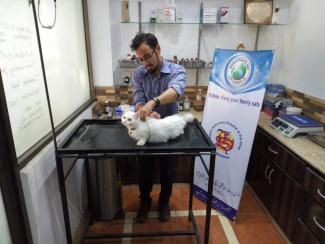 Dr. Faheem Ahmad vaccinating a cat at Saleem Veterinary Clinic 
