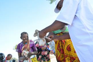 The feeling of having all animal potential to cause rabies are immunized was equally felt among community members