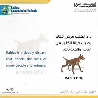 Rabies is a deadly disease that affects the lives of many people and animals.