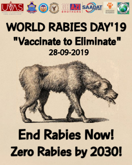Zero Rabies by 2030