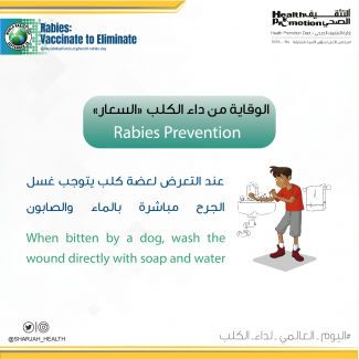 Rabies Prevention: 3) When bitten by a dog, wash the wound directly with soap and water