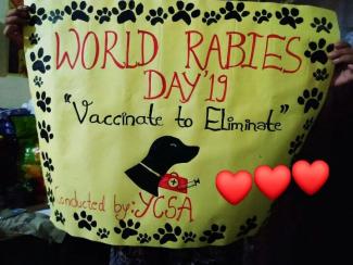 World Rabies Day Chart