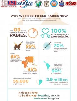 Why necessary to eliminate rabies.