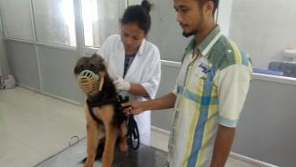 Free anti rabies vaccination