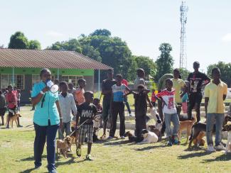 Spay and neuter education to pet owners.  Chingola, Zambia - April 2019