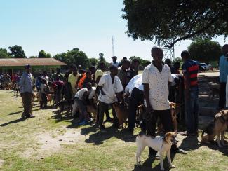 Vaccination campaign held in Chingola, Northern Zambia April 2019