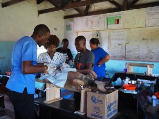 Mobile outreach spay and neuter campaign, Chingola, Zambia - April 2019