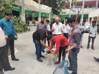 Vaccination done in presence of Director Veterinary Services SDMC