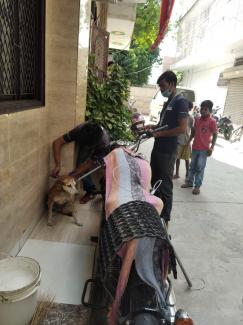 Vaccination done outside a house