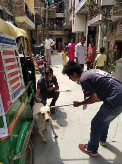 Vaccinating with help of NGOs