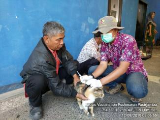 Free Rabies vaccination in Rawabogo Village Bandung district West Java Province