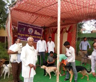 Glimpses of Free Anti Rabies Vaccination Camp